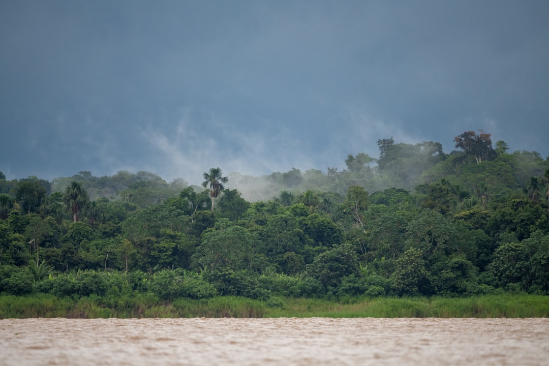 Amazon Rainforest Recovery: New Satellite Data Shows 30% Reduction in Deforestation