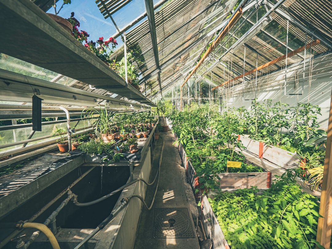 Vertical Farming Sovereignty: UK Moves to Scale Indoor Agriculture for Food Security